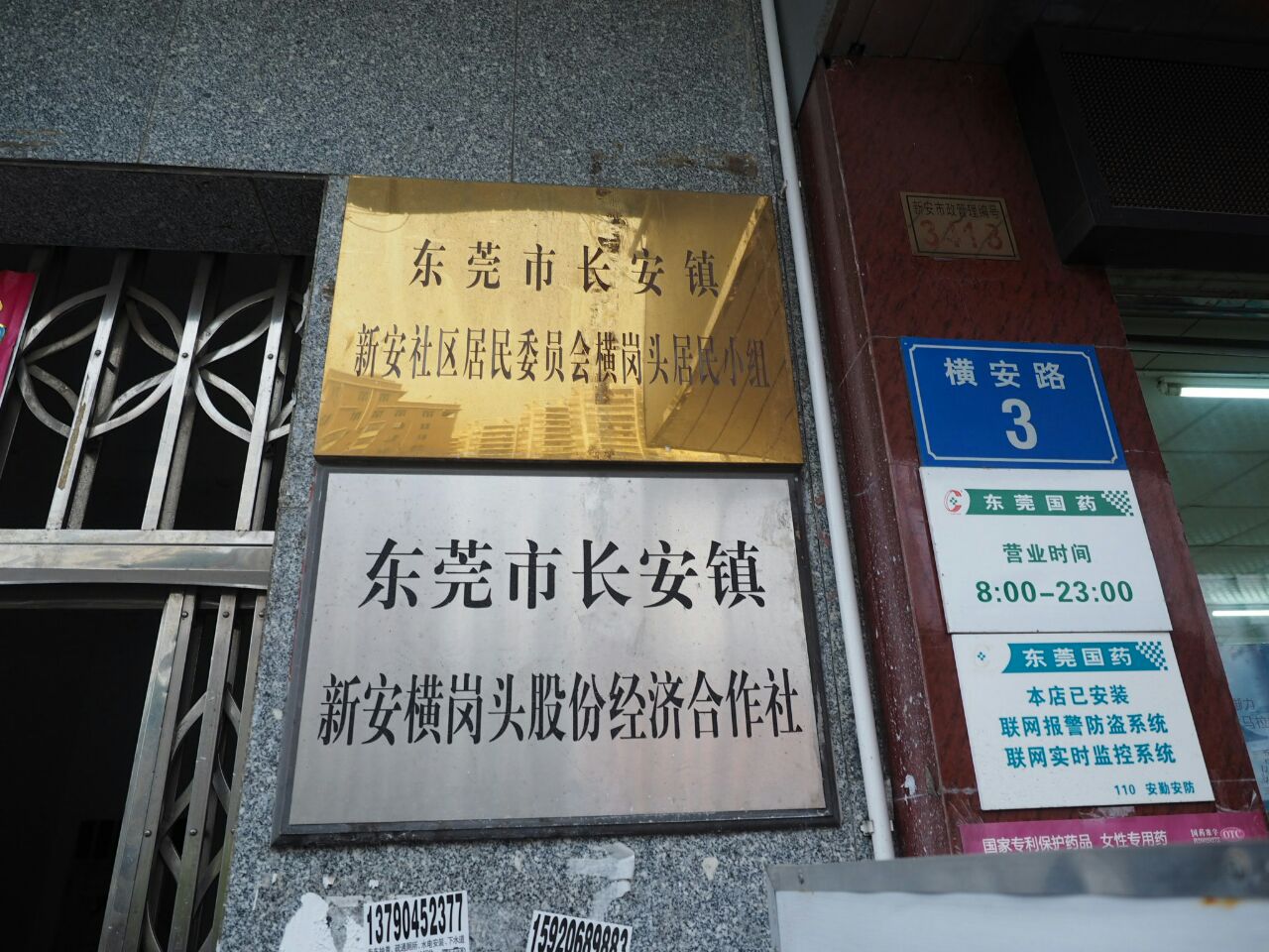 照片 681.jpg