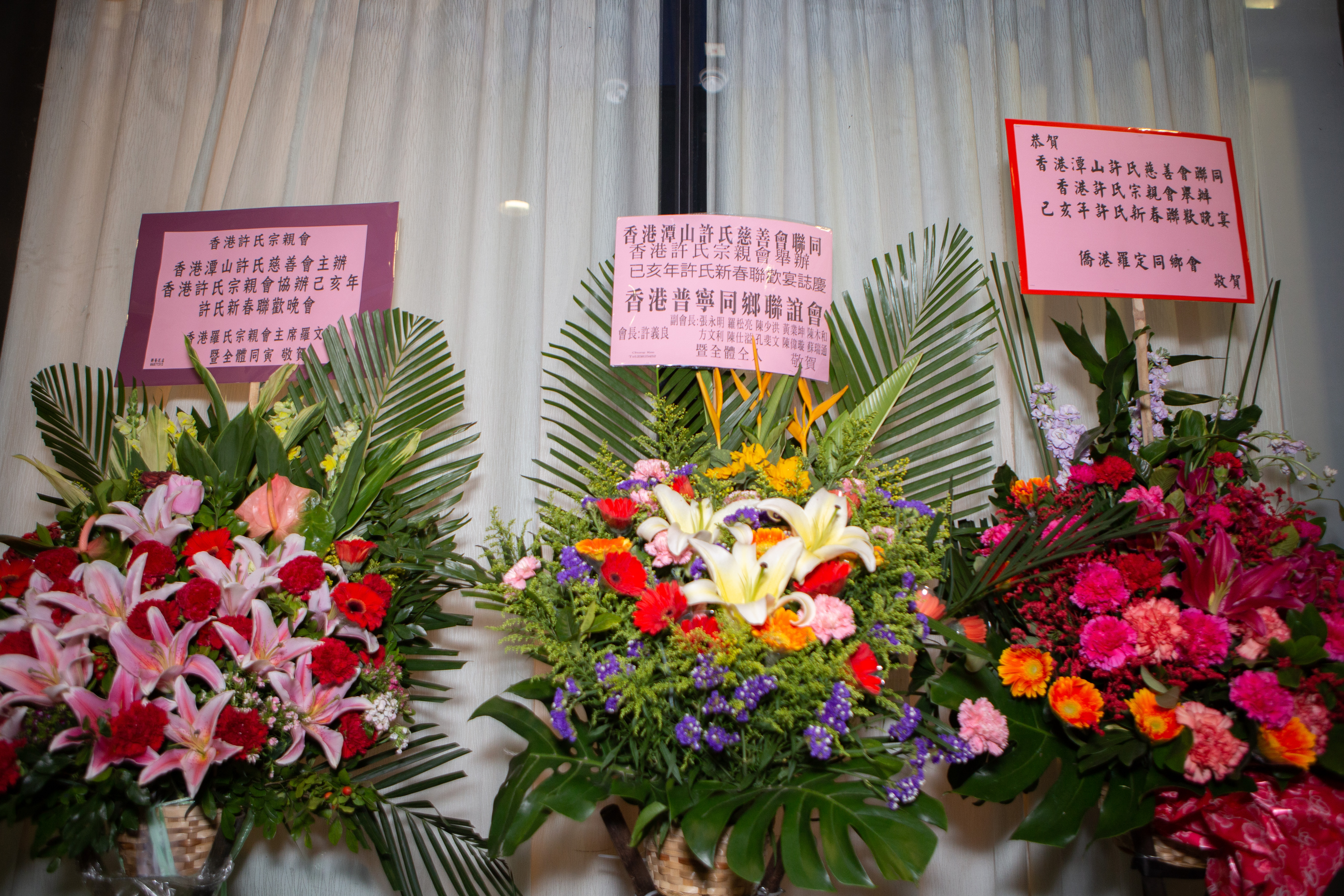 己亥年許氏新春聯歡晚宴-226.jpg